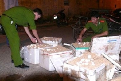 Thu giữ 2.500 quả trứng gà không rõ nguồn gốc